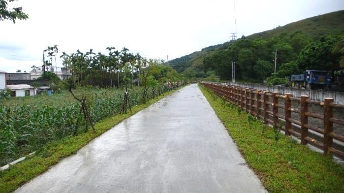 管理道路及植栽