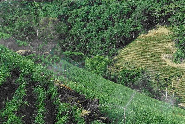 Sprinkler irrigation - Ground fixed type (Ginger)