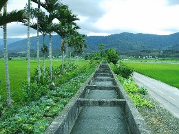 池上圳六支線浮圳